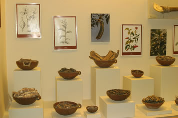 Sito archeologico di Cahuachi Sito archeologico di Cahuachi